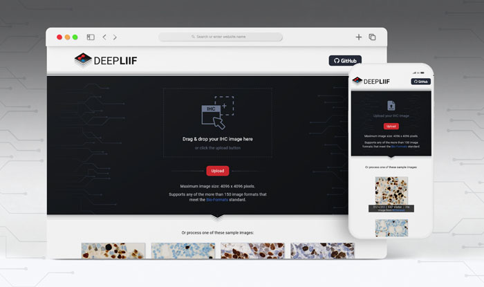 Link to branding and wbdesign project for DeepLiif